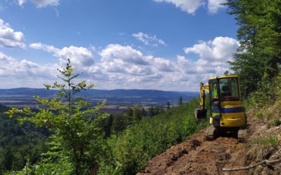 Ścieżki rowerowe typu Singletrack